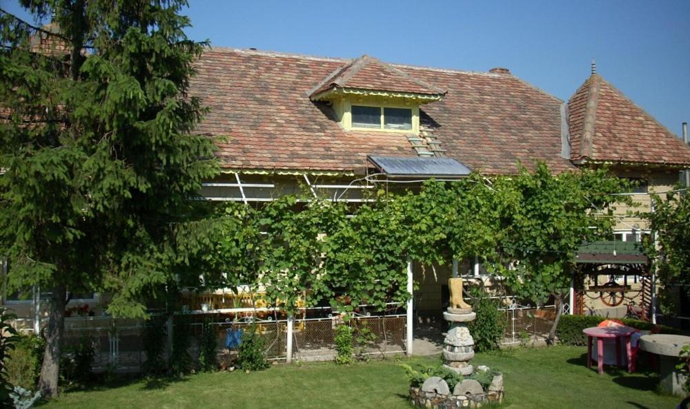 Villa Casa Matetovici Greci Exterior foto