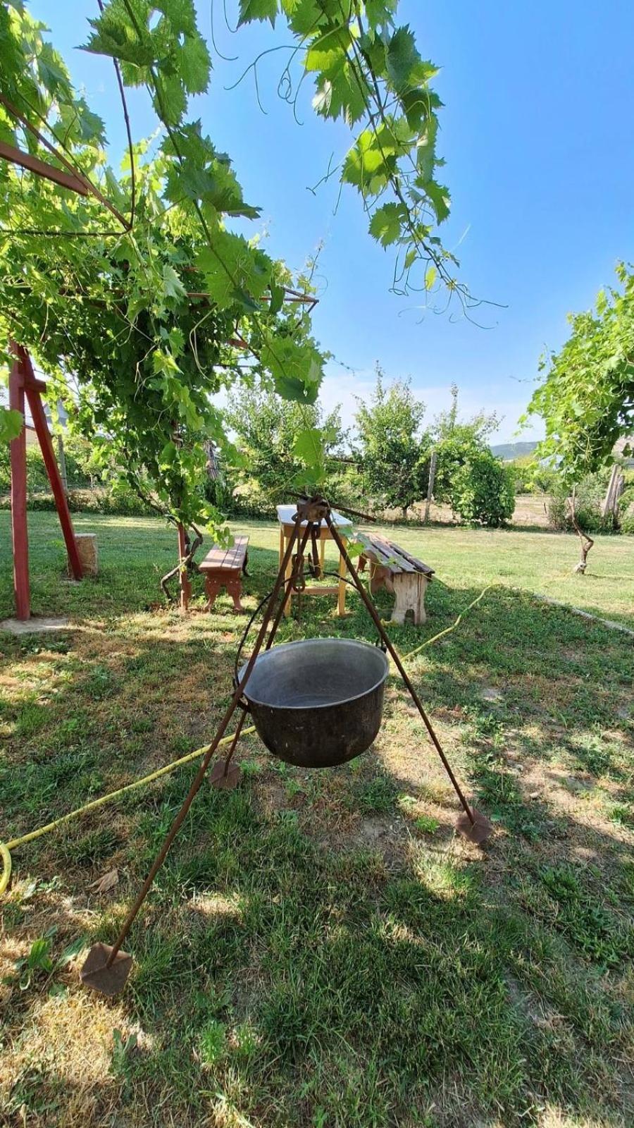 Villa Casa Matetovici Greci Exterior foto